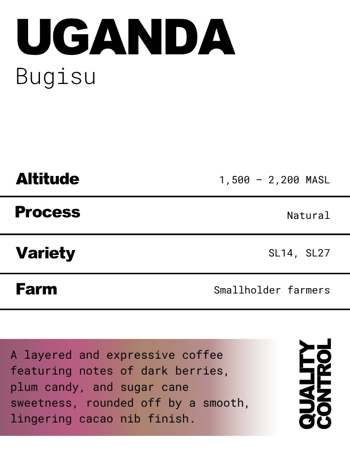 Uganda Bugisu Natural